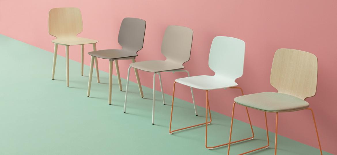 Babila series Pedrali - Babila chairs