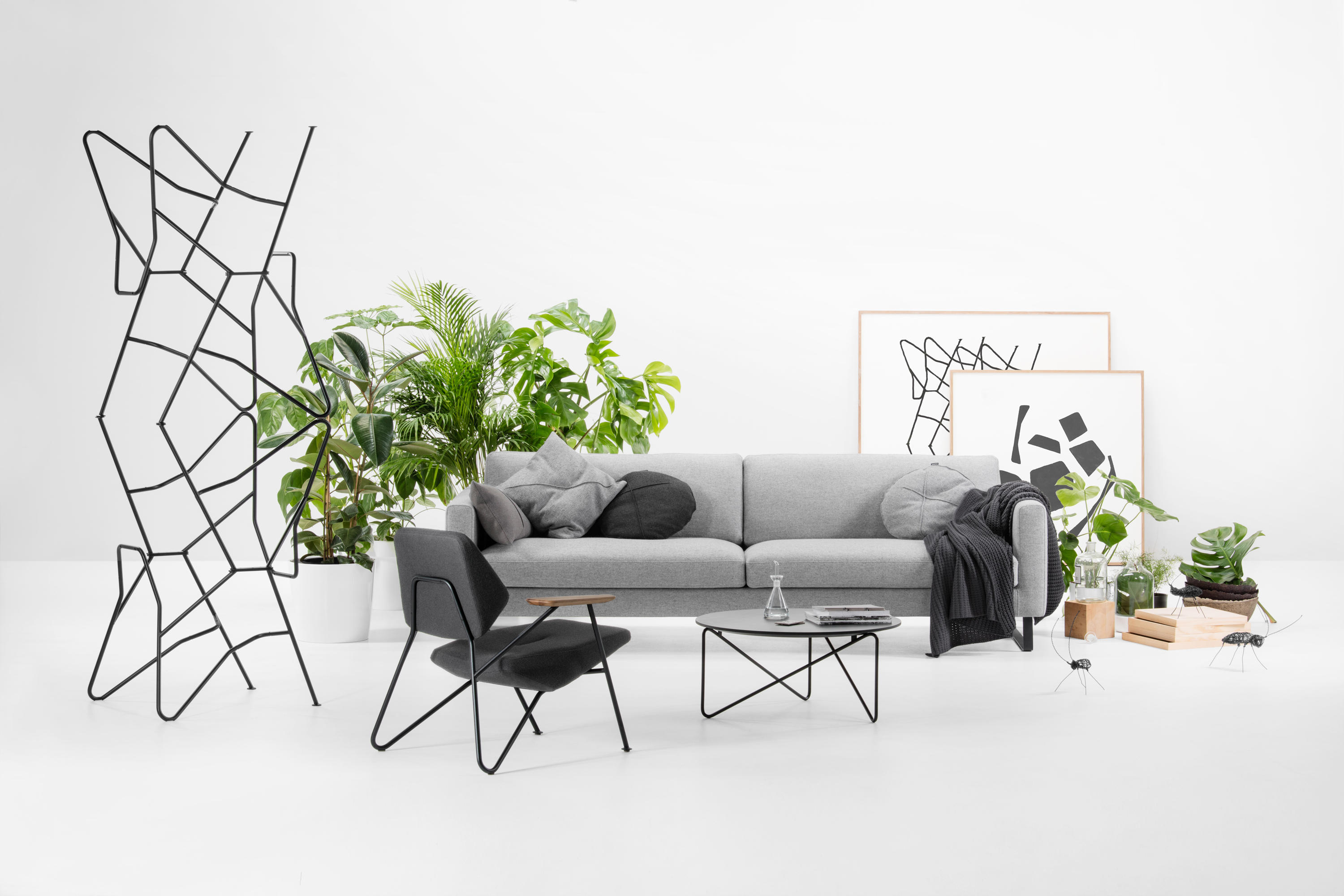 Polygon Prostoria - Elegance-0a5a6598-2-b