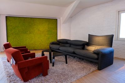 Showroom Aalst