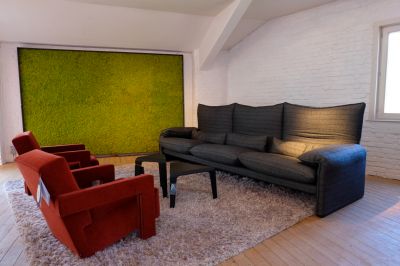 Showroom Ninove