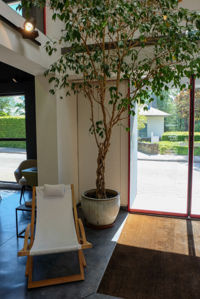 Showroom Ninove