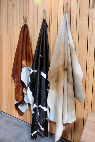 Showroom Ninove