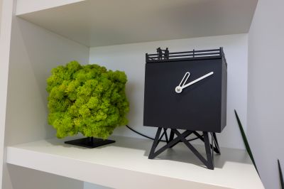 Showroom Ninove
