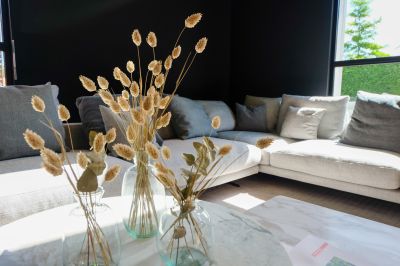Showroom Ninove
