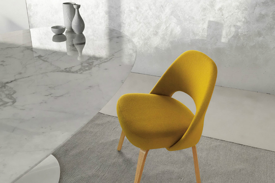 Conference Chair Knoll - Conf3